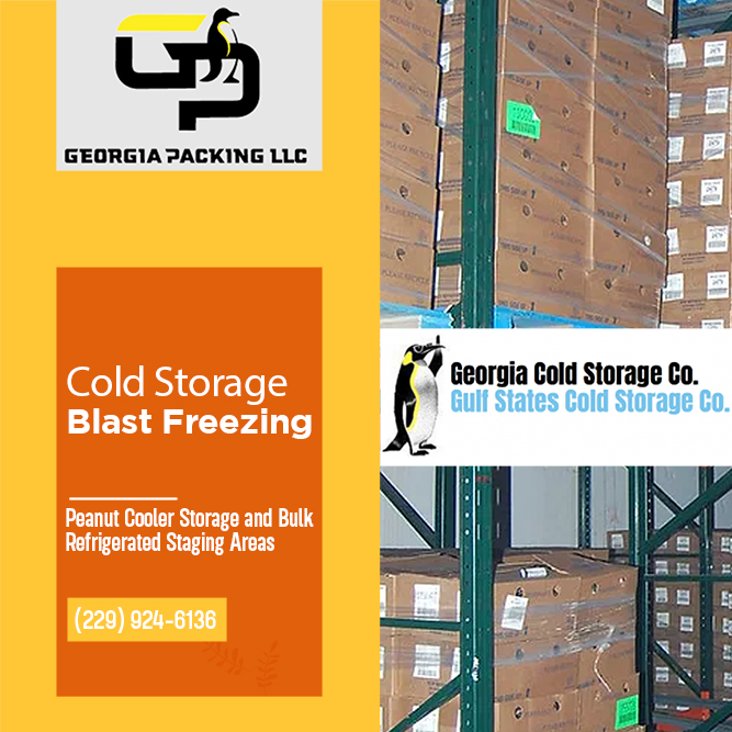 Georgia Cold Storage Co.