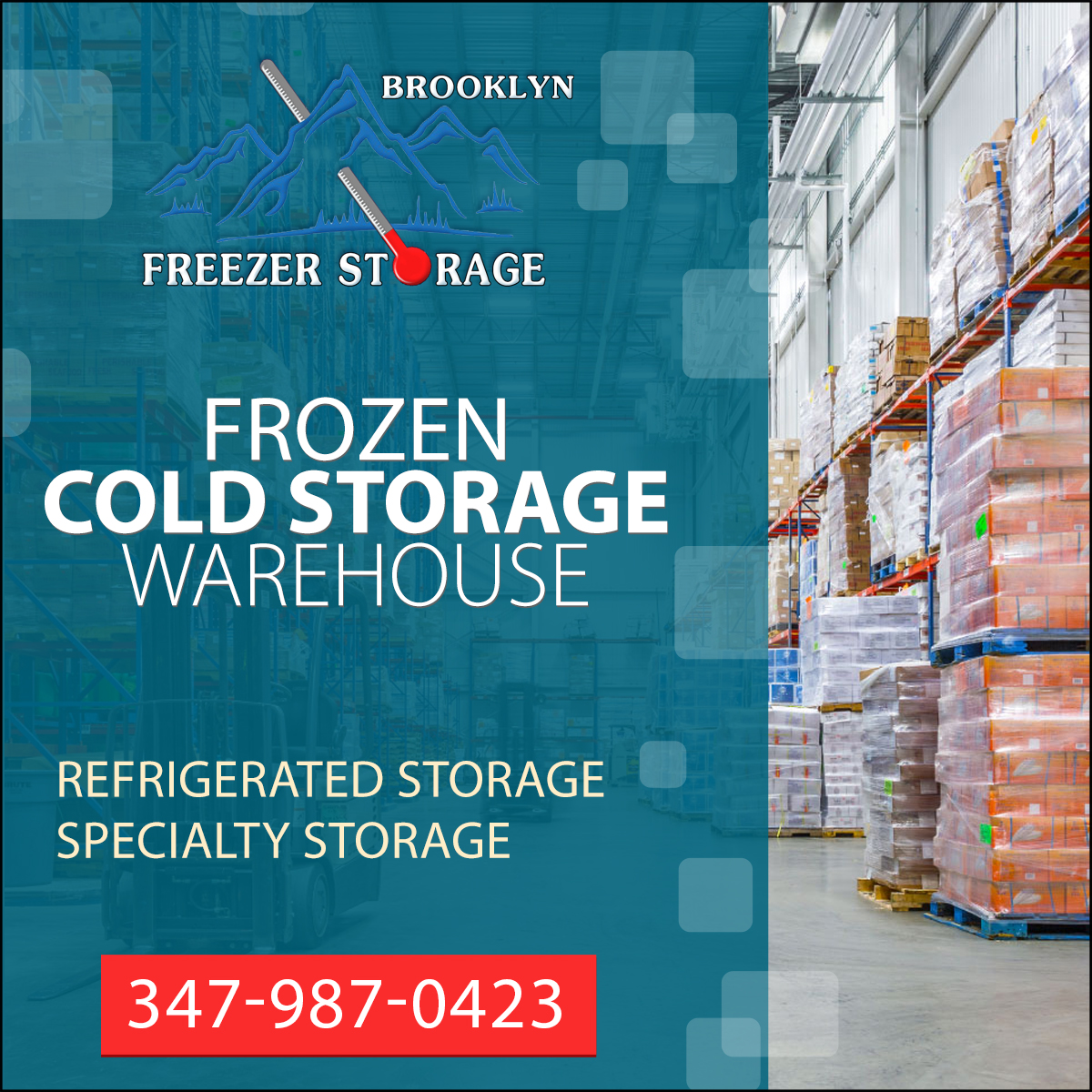 Brooklyn Freezer Storage